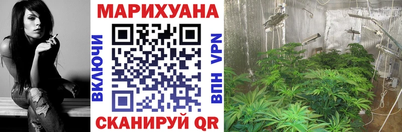 Конопля план  купить закладку  Слюдянка 